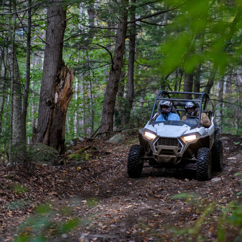 a truck that is sitting on a bench in the middle of a forest
